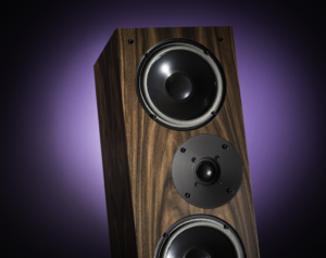 Enceinte IBX-RW3