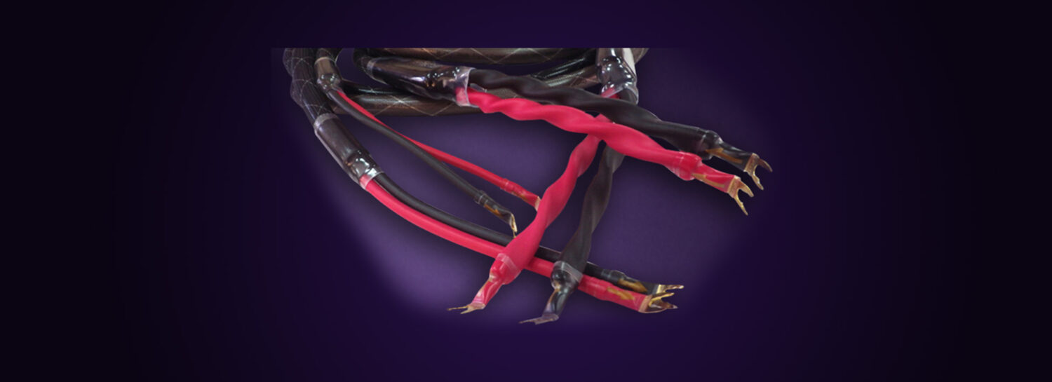PRO 9 REFERENCE BIWIRE