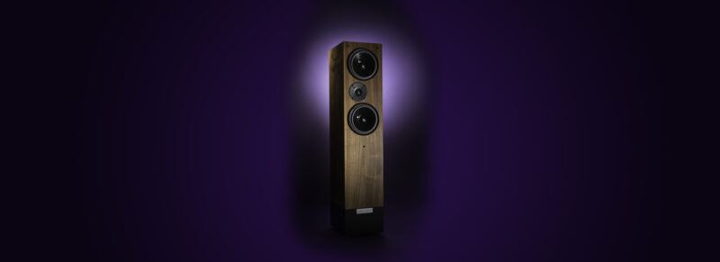 AFICIONADO 2 – Image 3
