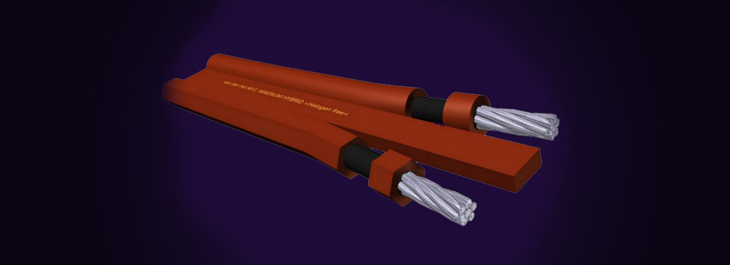THE MAGNUM HYBRID – Image 2
